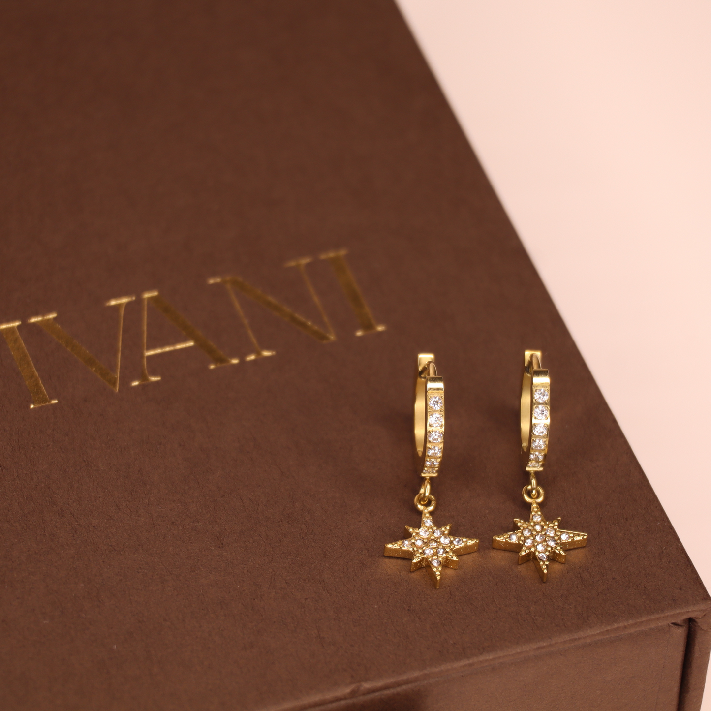 Dangle Star Earring