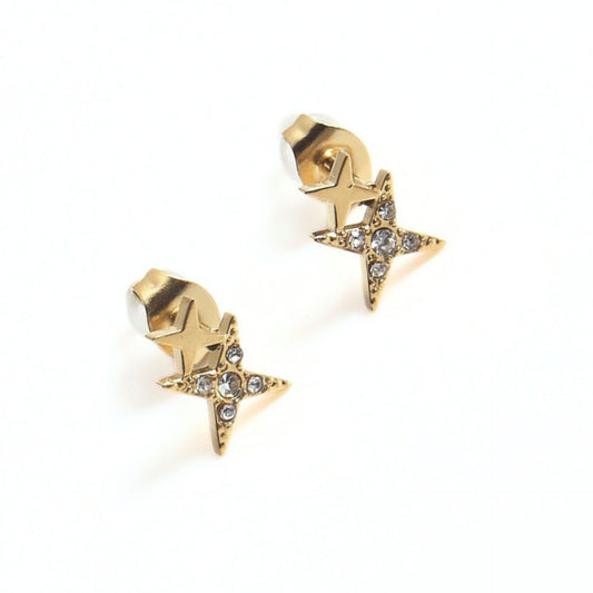 Double Star Stud Earring