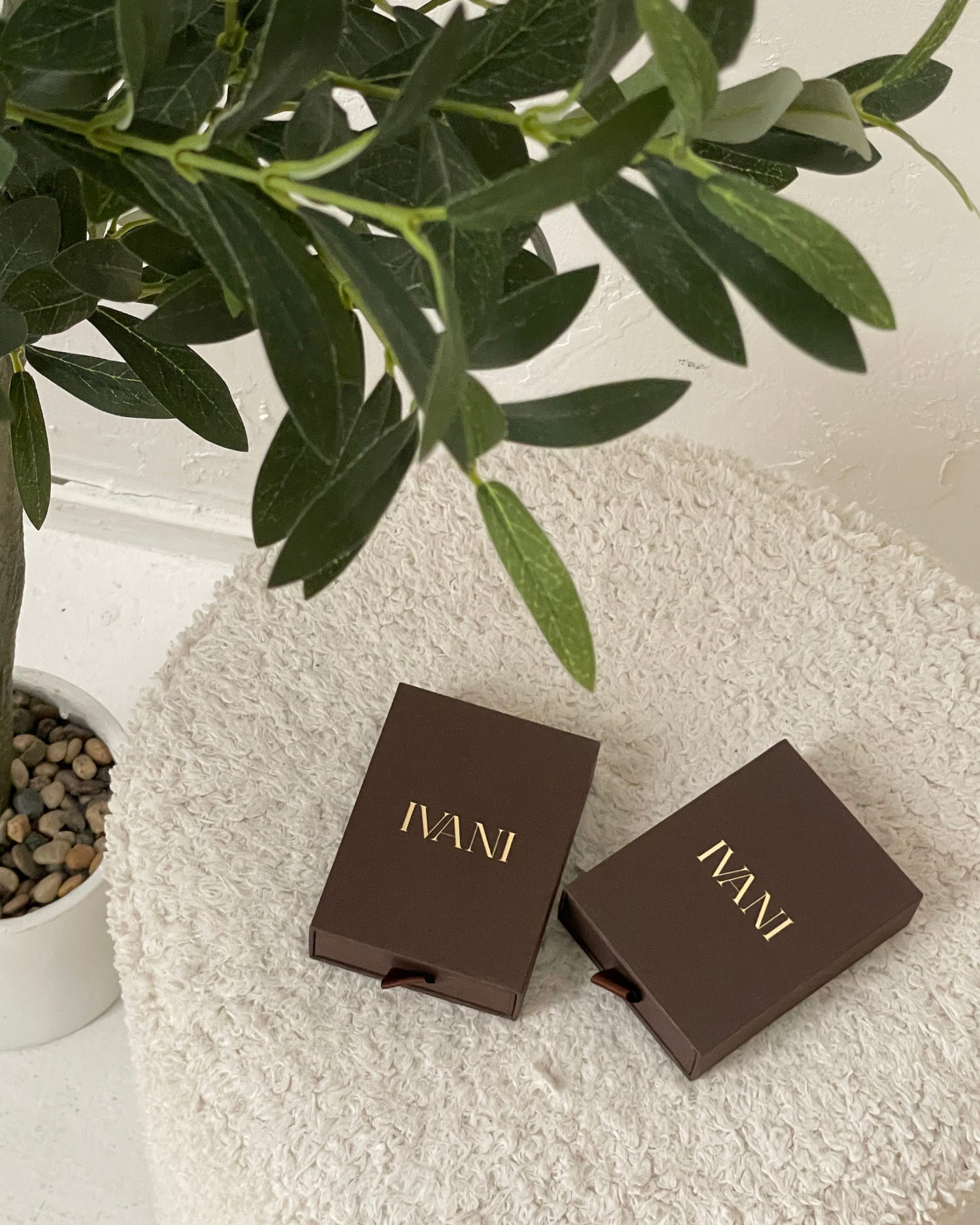 


Two brown 'IVANI' boxes on a textured surface with green leaves in the background